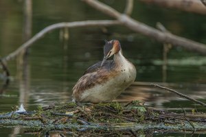 IMG_8261.jpg IMG_8261.jpg