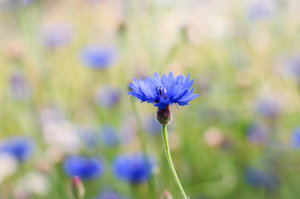 für Fotoforum (53 von 5).jpg