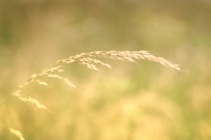 für Fotoforum (54 von 5).jpg