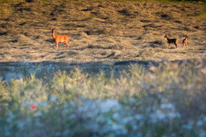 für Fotoforum (55 von 5).jpg