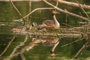 IMG_8383.jpg IMG_8383.jpg