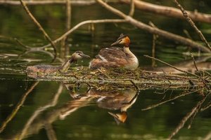 IMG_8388.jpg IMG_8388.jpg