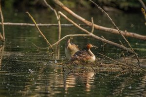 IMG_8558.jpg IMG_8558.jpg