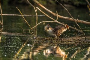 IMG_8575.jpg IMG_8575.jpg