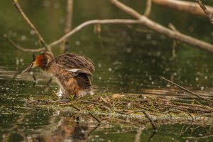 IMG_8873.jpg IMG_8873.jpg