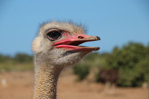 IMG_5639a.jpg IMG_5639a.jpg