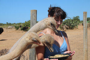 IMG_5647a.jpg IMG_5647a.jpg