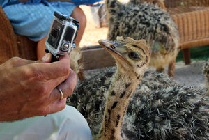 IMG_5737a.jpg IMG_5737a.jpg