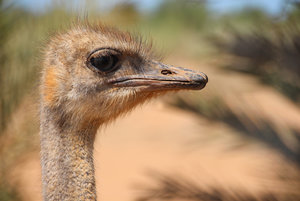 IMG_5810a.jpg IMG_5810a.jpg