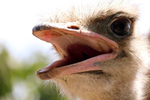 IMG_5831a.jpg IMG_5831a.jpg