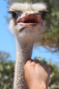 IMG_5847a.jpg IMG_5847a.jpg