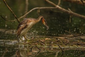 IMG_8877.jpg IMG_8877.jpg