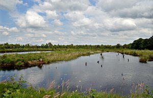 1, comp_DSC_8474.jpg