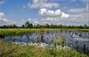 2, comp_DSC_8504b.jpg