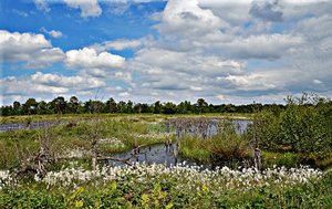 3, comp_DSC_8496.jpg