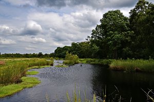 6, comp_DSC_8460_b.jpg