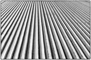 Zeeland (1 von 3).jpg