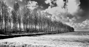 Zeeland (3 von 3).jpg