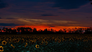 G71_9903_klein OK.jpg