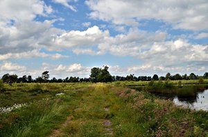 comp_DSC_8479b.jpg comp_DSC_8479b.jpg