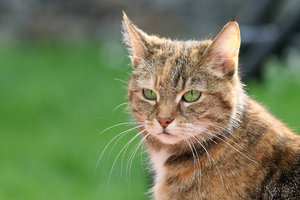 IMG_5689a.jpg IMG_5689a.jpg