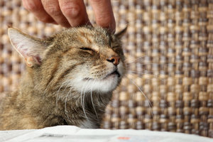 IMG_8907a.jpg IMG_8907a.jpg