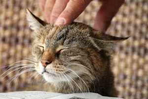 IMG_8914a.jpg IMG_8914a.jpg