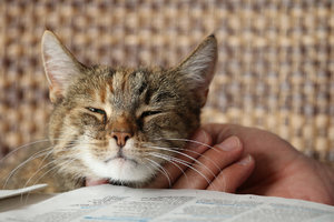 IMG_8919a.jpg IMG_8919a.jpg