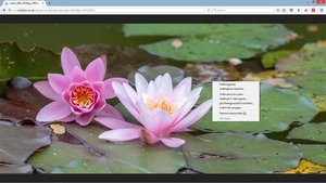 comp_Screenshot (5).jpg