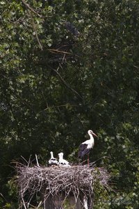 Small_DAN_9062.jpg Small_DAN_9062.jpg