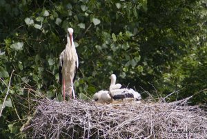 Small_DSC_9975.jpg Small_DSC_9975.jpg