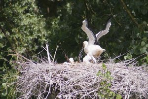 Small_DSC_10021.jpg Small_DSC_10021.jpg