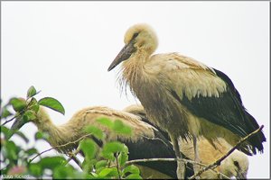 Bild - 15.jpg Bild - 15.jpg