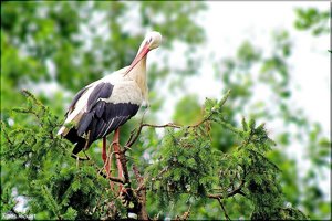 Bild - 19.jpg Bild - 19.jpg