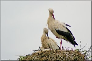 Bild - 21.jpg Bild - 21.jpg