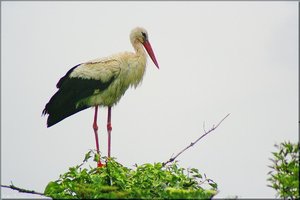 Bild - 23.jpg Bild - 23.jpg