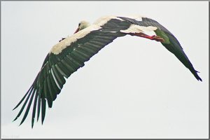 Bild - 24.jpg Bild - 24.jpg