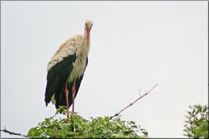 Bild - 25.jpg Bild - 25.jpg