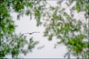 Bild - 28.jpg Bild - 28.jpg