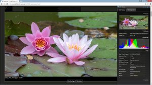 comp_Screenshot (6).jpg