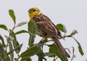 IMG_0034.jpg IMG_0034.jpg