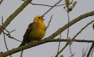 IMG_8317.jpg IMG_8317.jpg