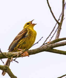 IMG_9050.jpg IMG_9050.jpg