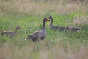 IMG_8330.jpg IMG_8330.jpg