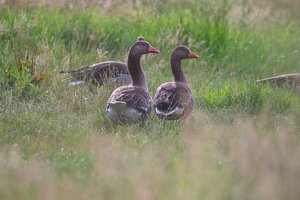 IMG_8332.jpg IMG_8332.jpg