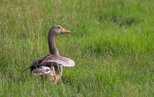 IMG_8353.jpg IMG_8353.jpg