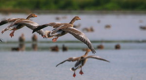 IMG_8772.jpg IMG_8772.jpg