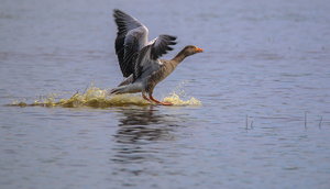 IMG_8778.jpg IMG_8778.jpg