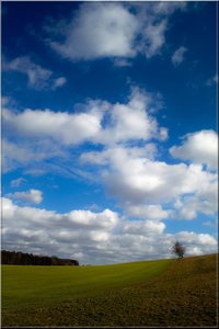 Ackeland mit Baum 2.jpg