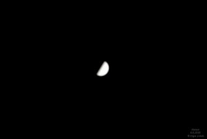 bf_0048.jpg bf_0048.jpg